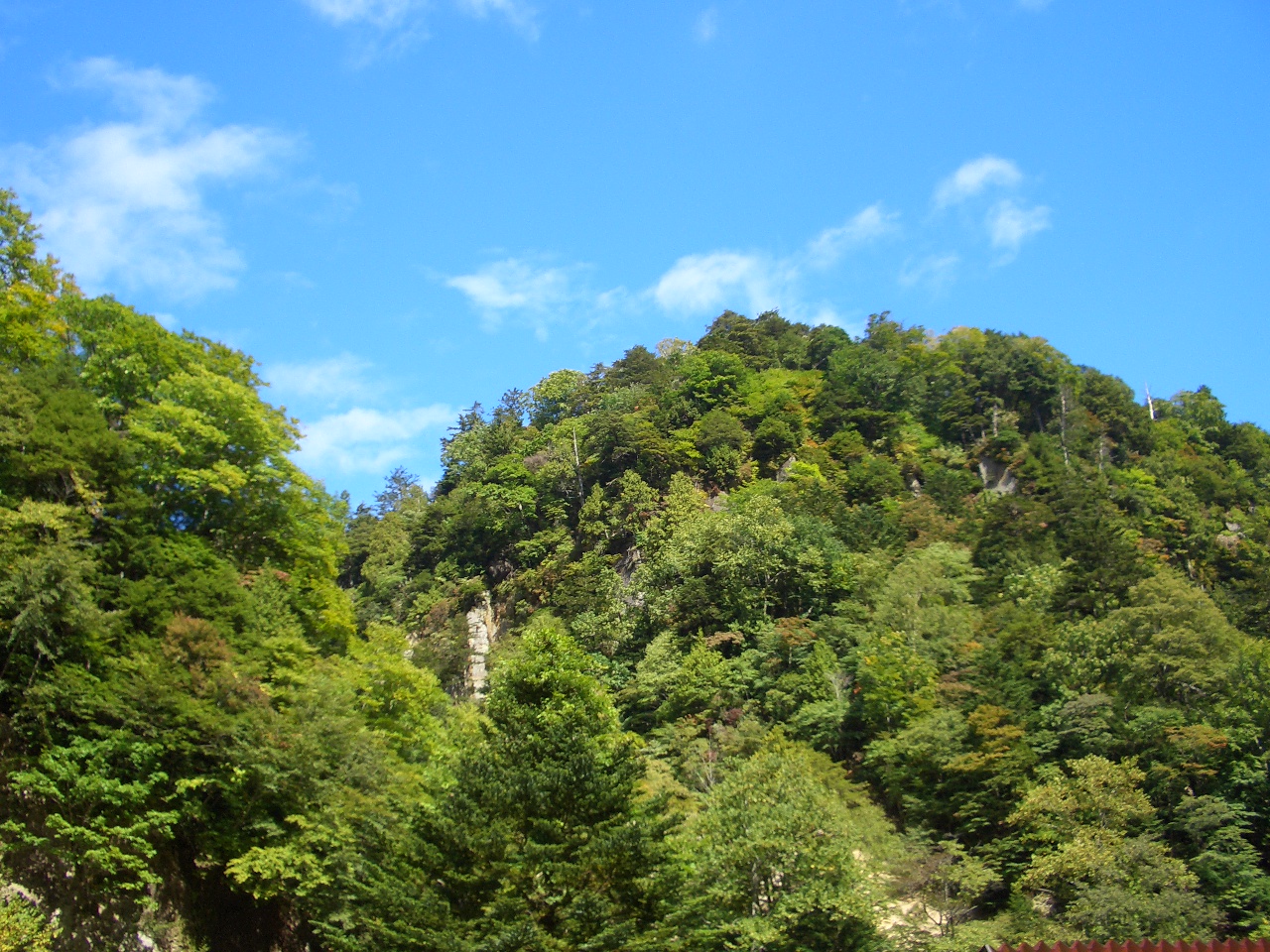 対岸の山