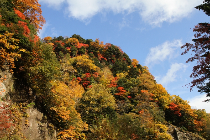 日光澤周辺の紅葉