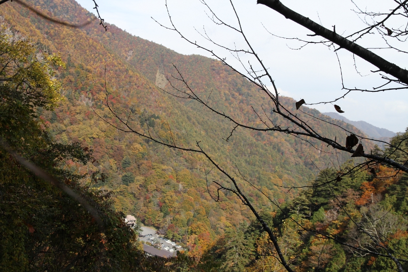 女夫渕温泉付近の紅葉