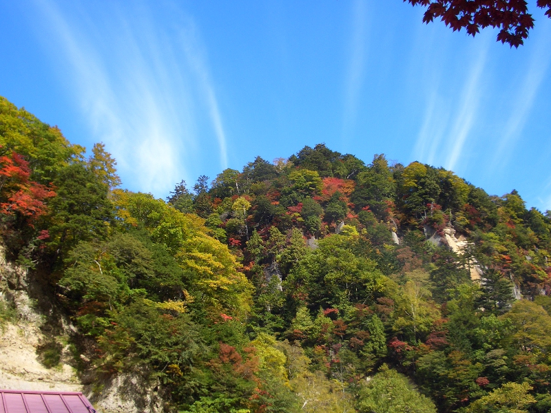 奥鬼怒日光澤の紅葉状況