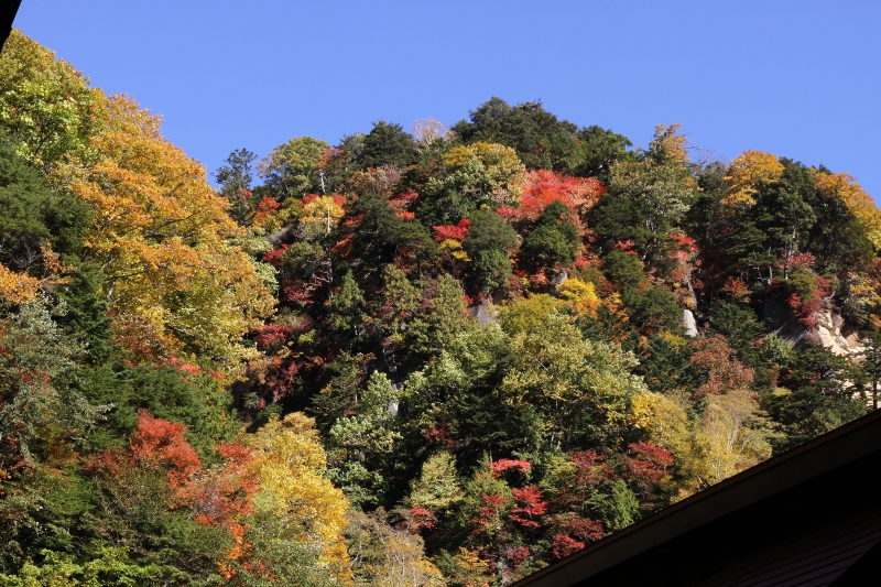 奥鬼怒日光澤温泉の紅葉