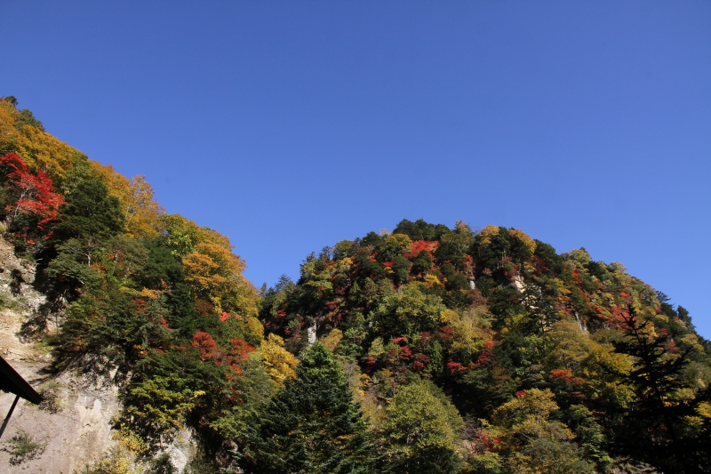 奥鬼怒日光澤温泉の紅葉