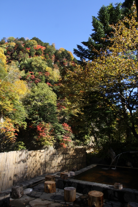 露天風呂からの紅葉