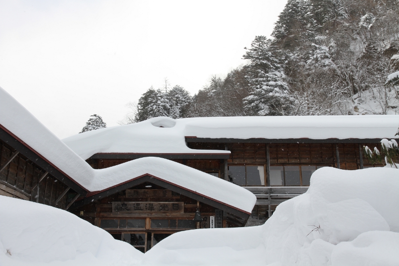 大雪で埋もれる