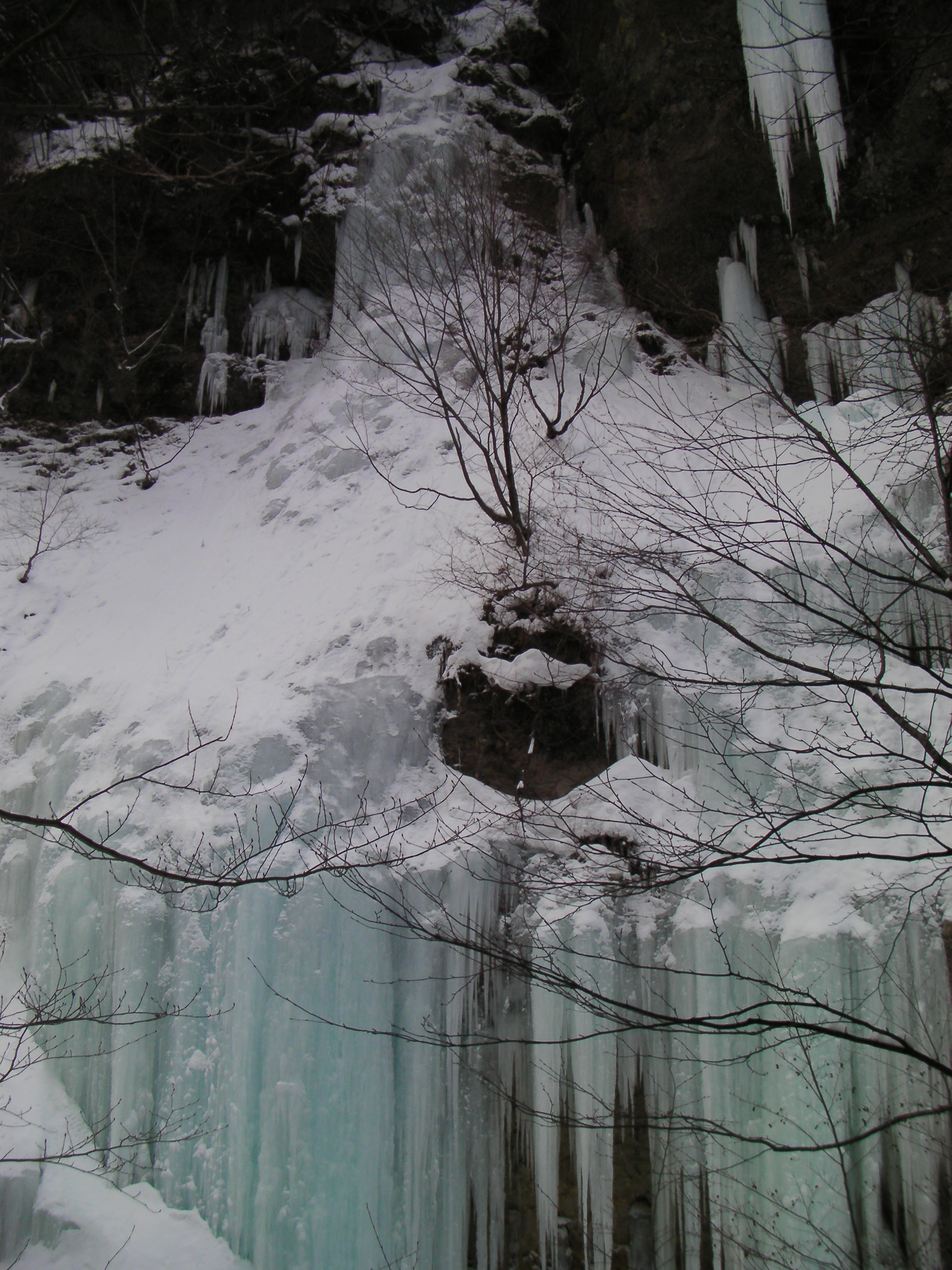 2013年1月26日鬼怒川上流