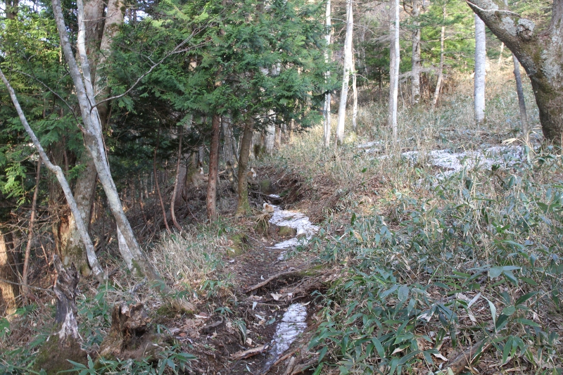 オロオソロシの滝展望台までの登山道