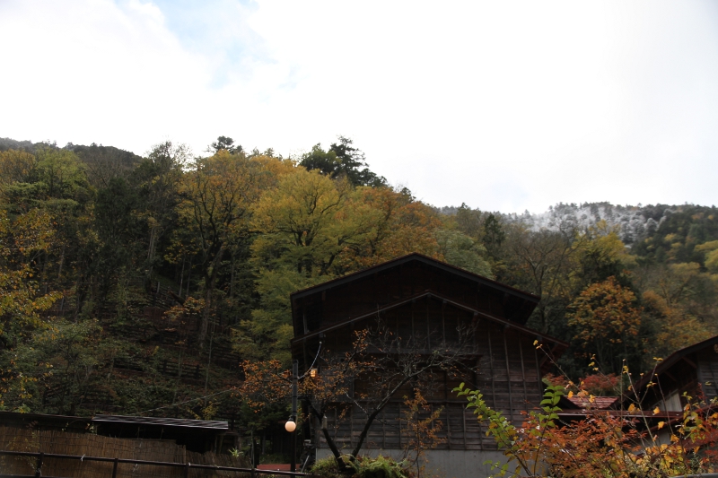 紅葉と雪