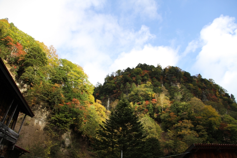 紅葉　10月17日