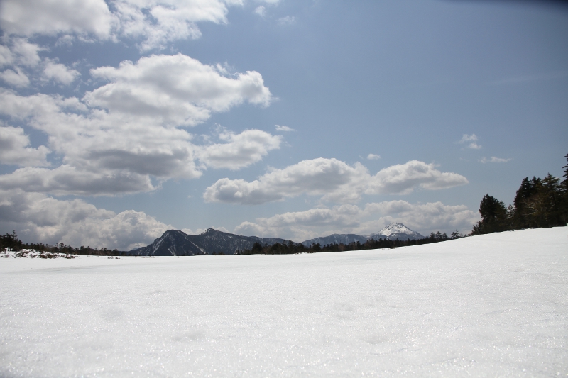 根名草山　日光白根山