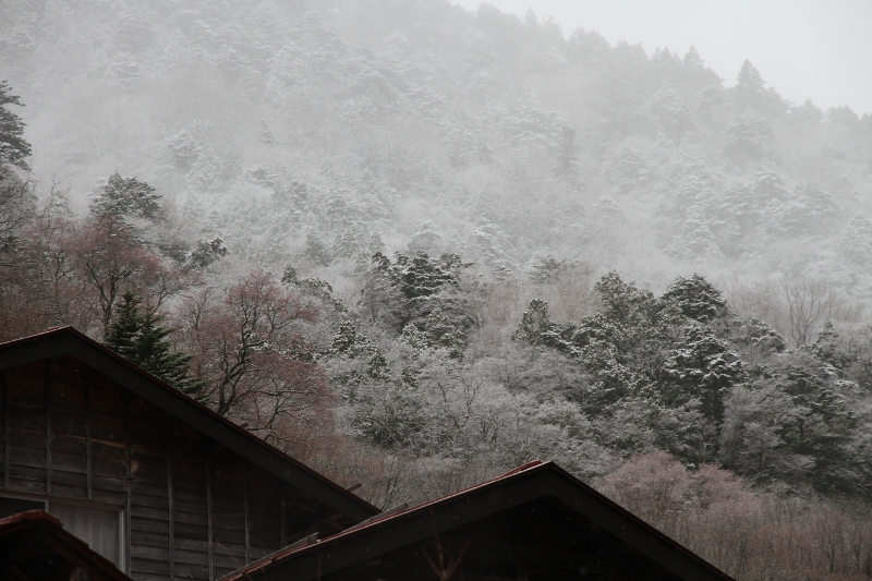 雪景色