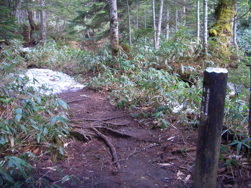 鬼怒沼登山道