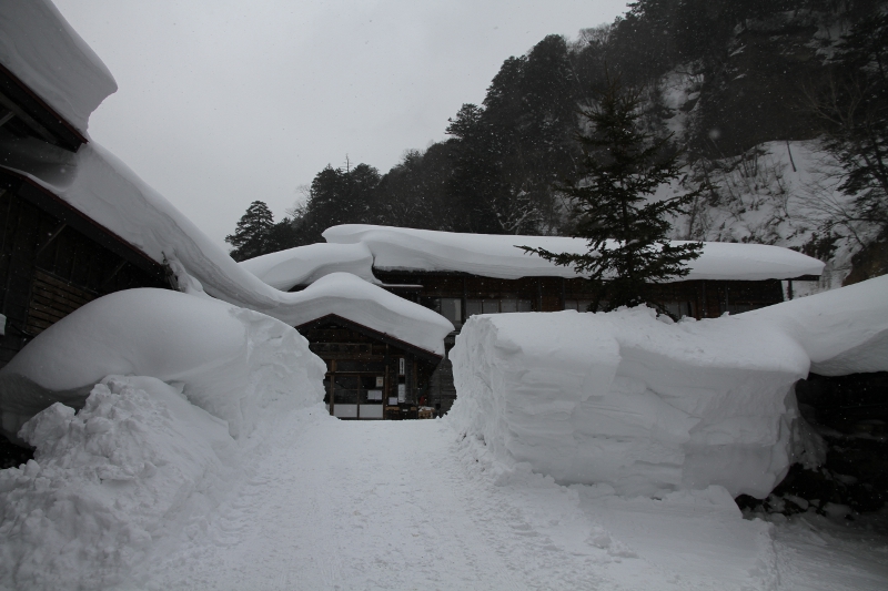 雪いっぱい