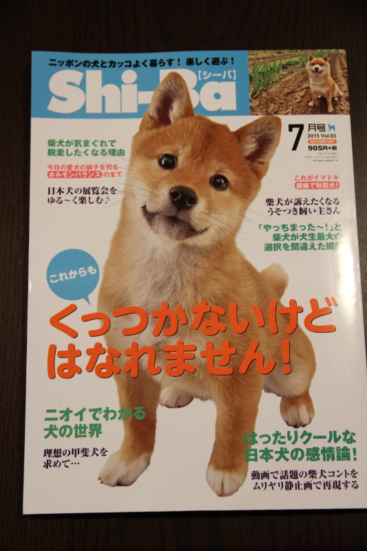 シーバ　７月号