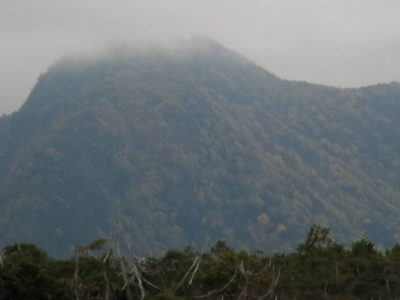 根名草山