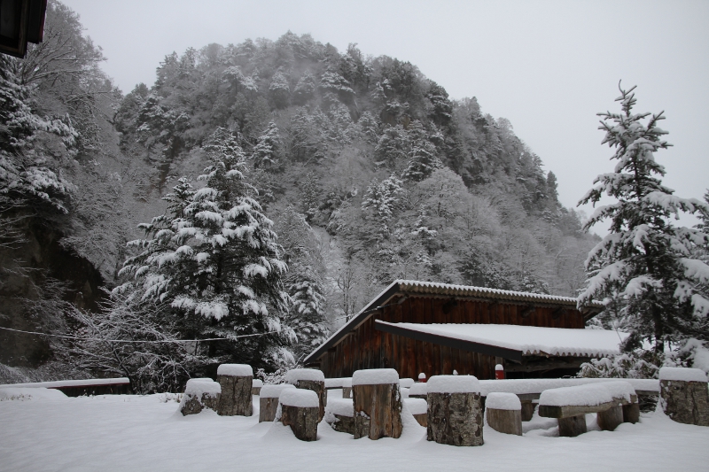 雪