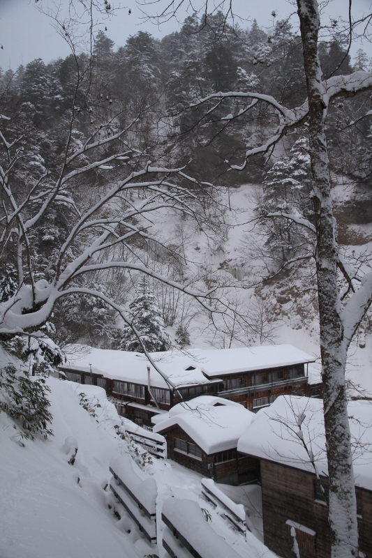 雪景色