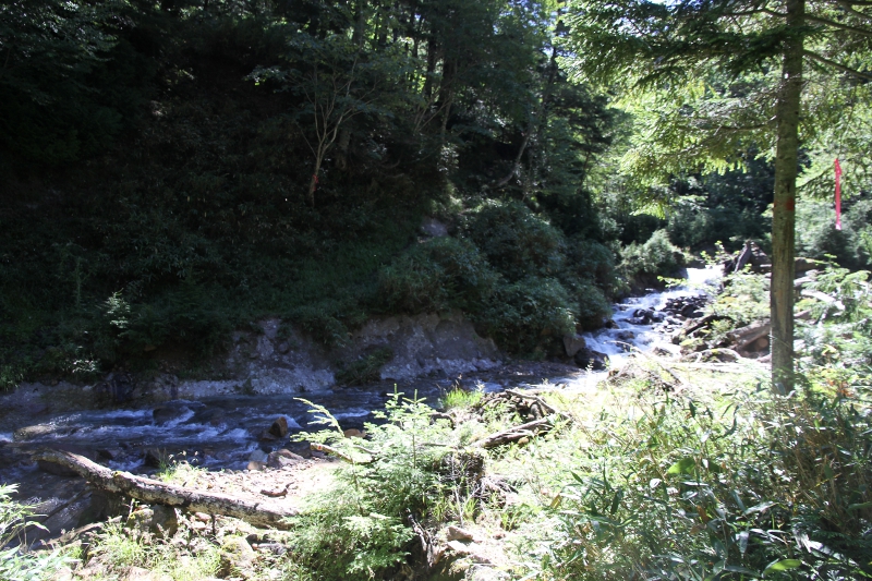 根名草沢