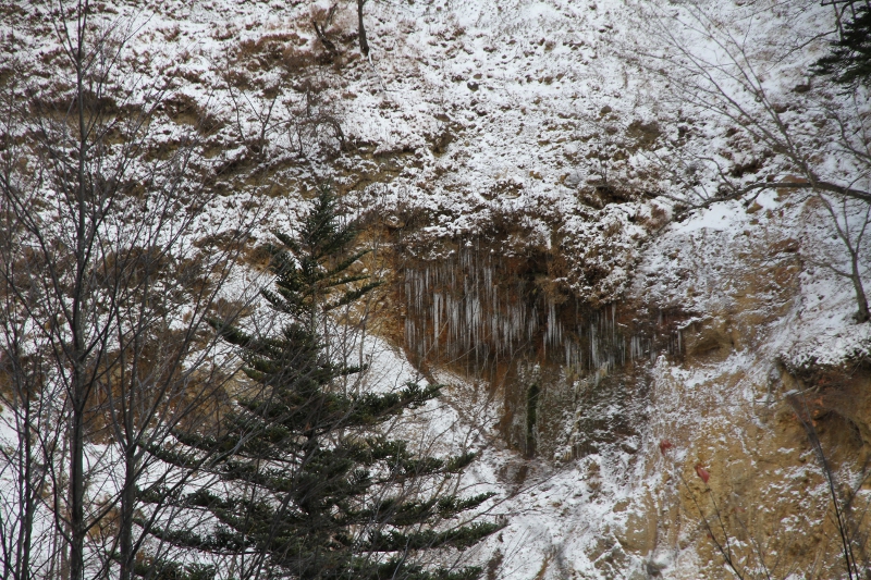 対岸の氷柱