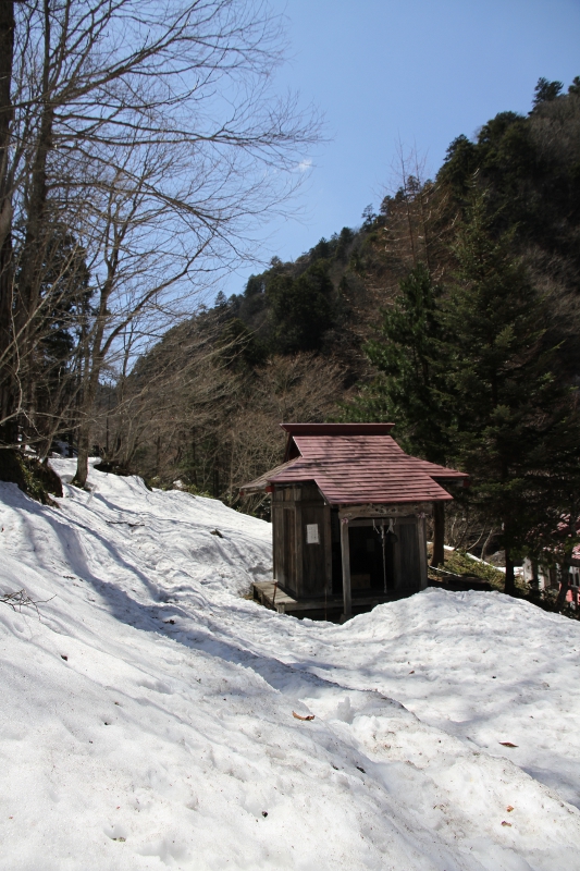 登山道