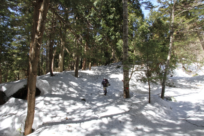 登山道