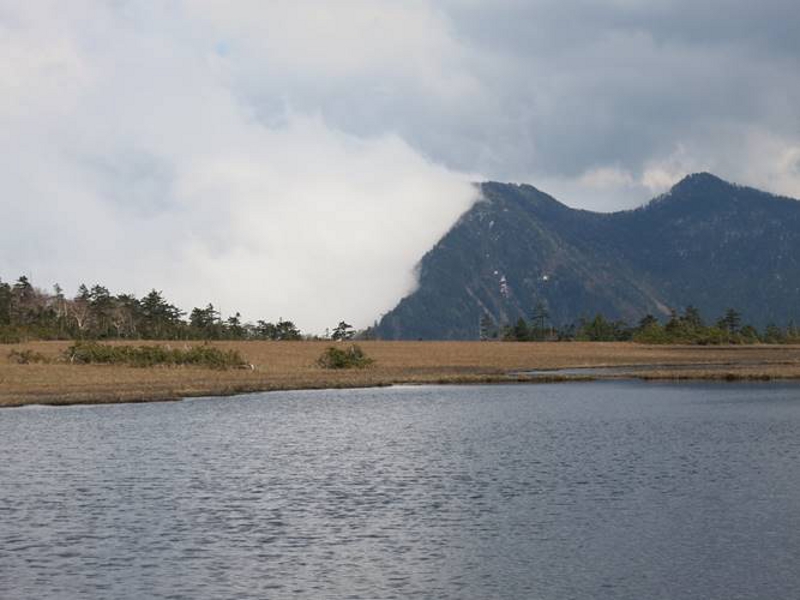 根名草山