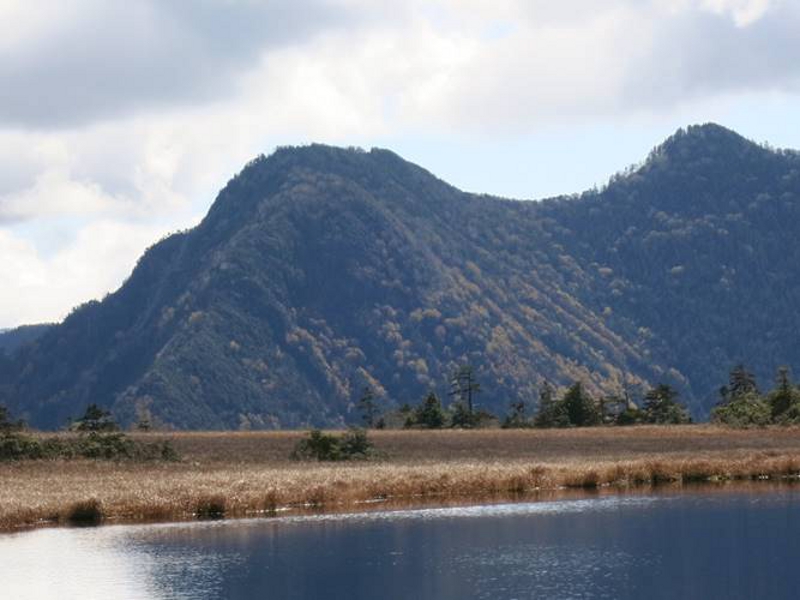 根名草山