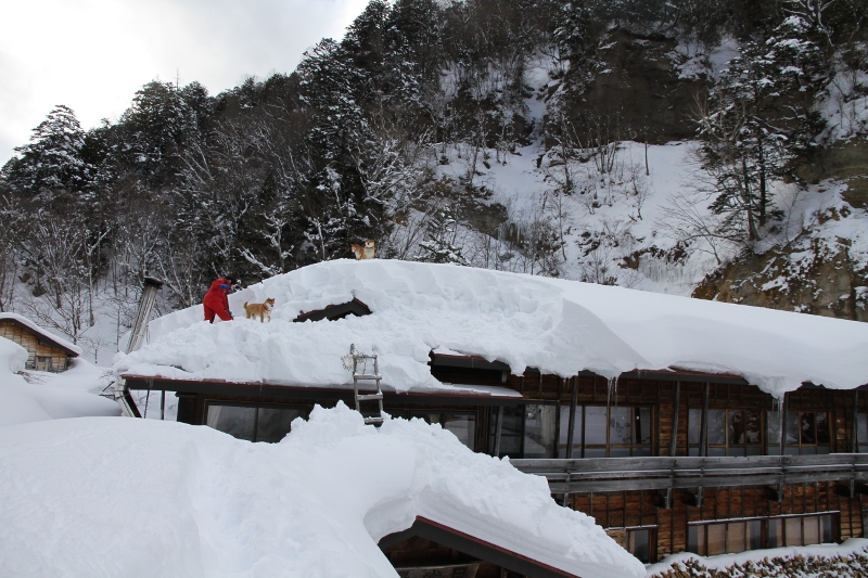 雪下ろし