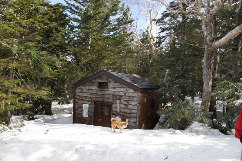 巡視小屋