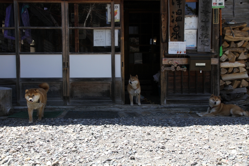 チャンわらサン