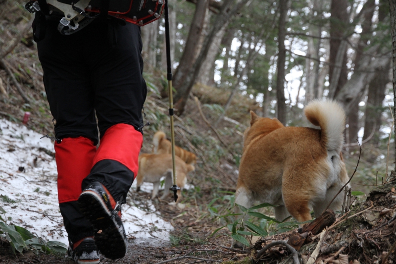 登山道