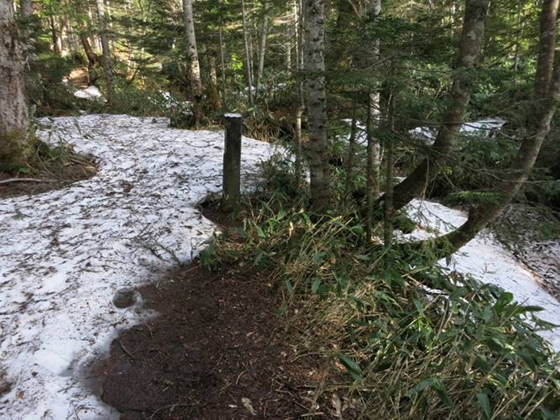 登山道