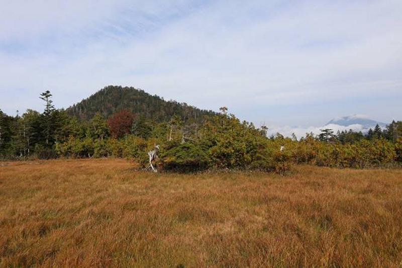 物見山