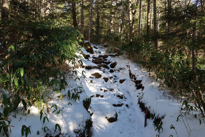 登山道