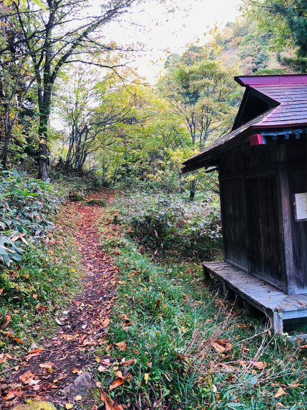 登山道