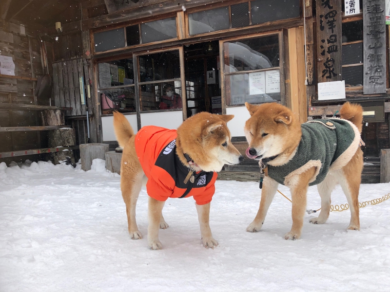 チャンサン