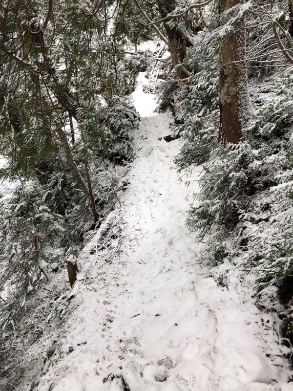 登山道